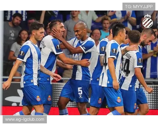 普耀足球数据图解析：精准数据助力战术分析与球队表现提升